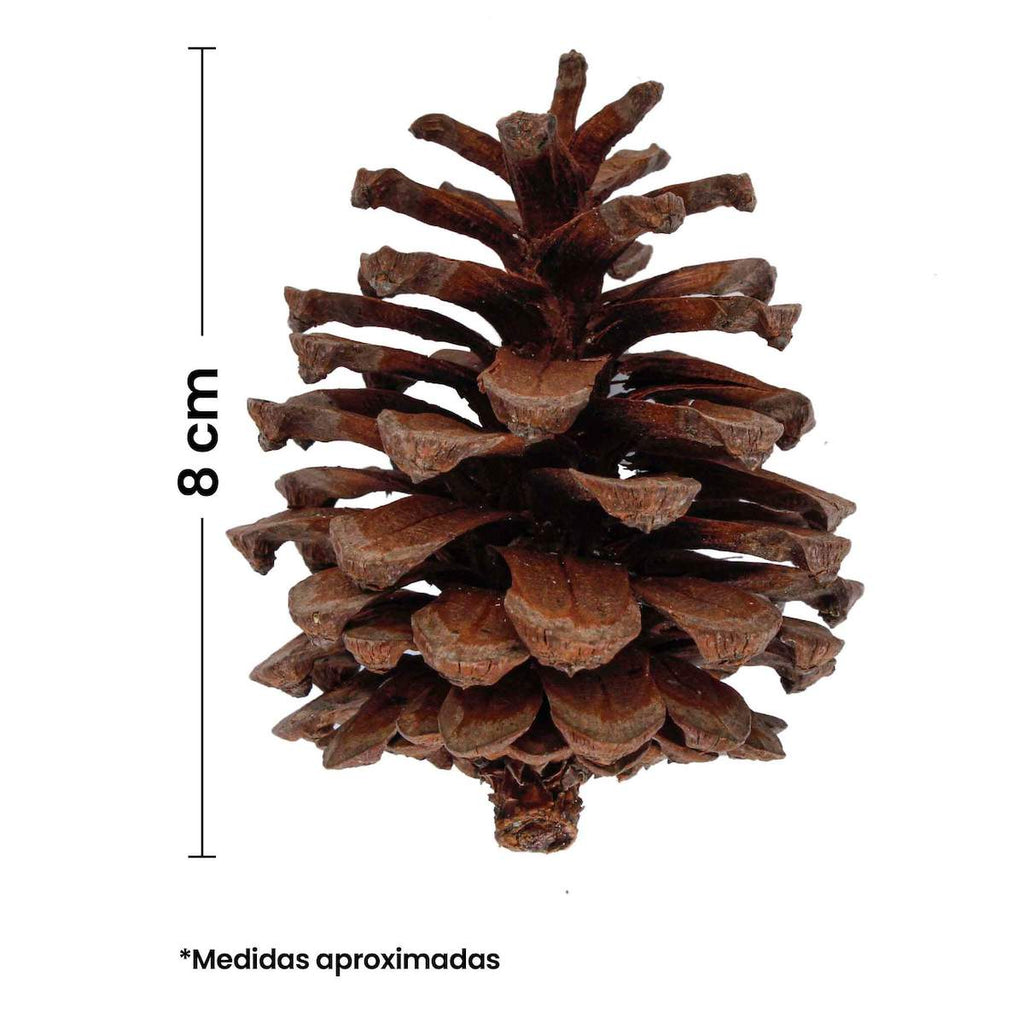 Vinílica Royal Mate 7010 Blanco Ostion 4 L (102001005)