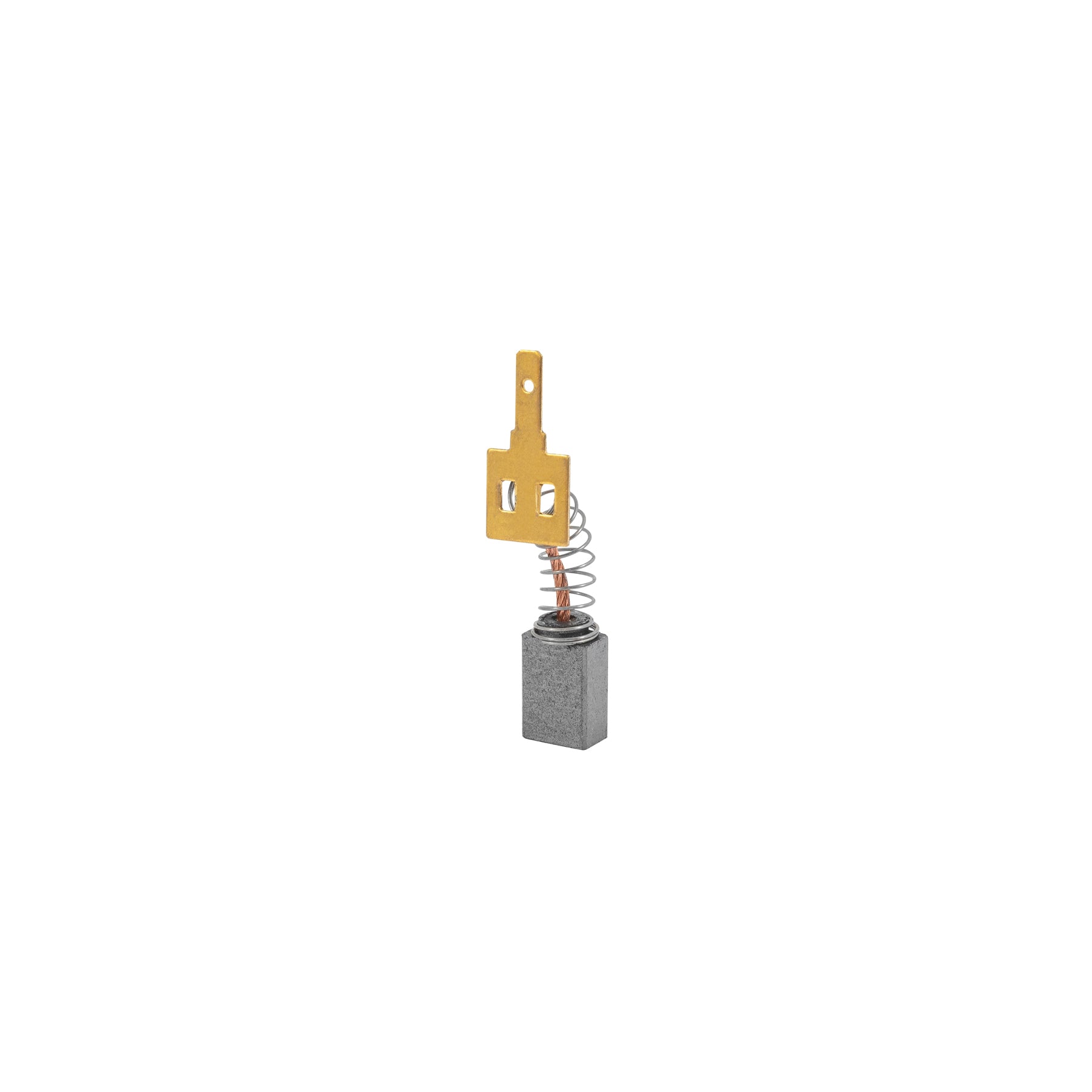Bolsa con 2 carbones de repuesto para ROTO-3/8P4, Pretul
