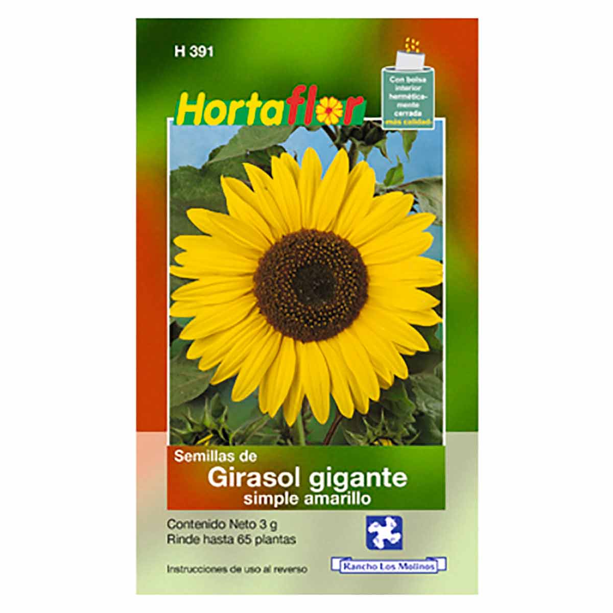 Girasol Gig Simple Amarillo Hortaflor