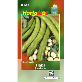 Haba (Mediana) Hortaflor