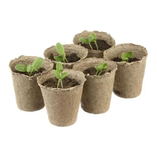 Macetas Redondas Biodegradables