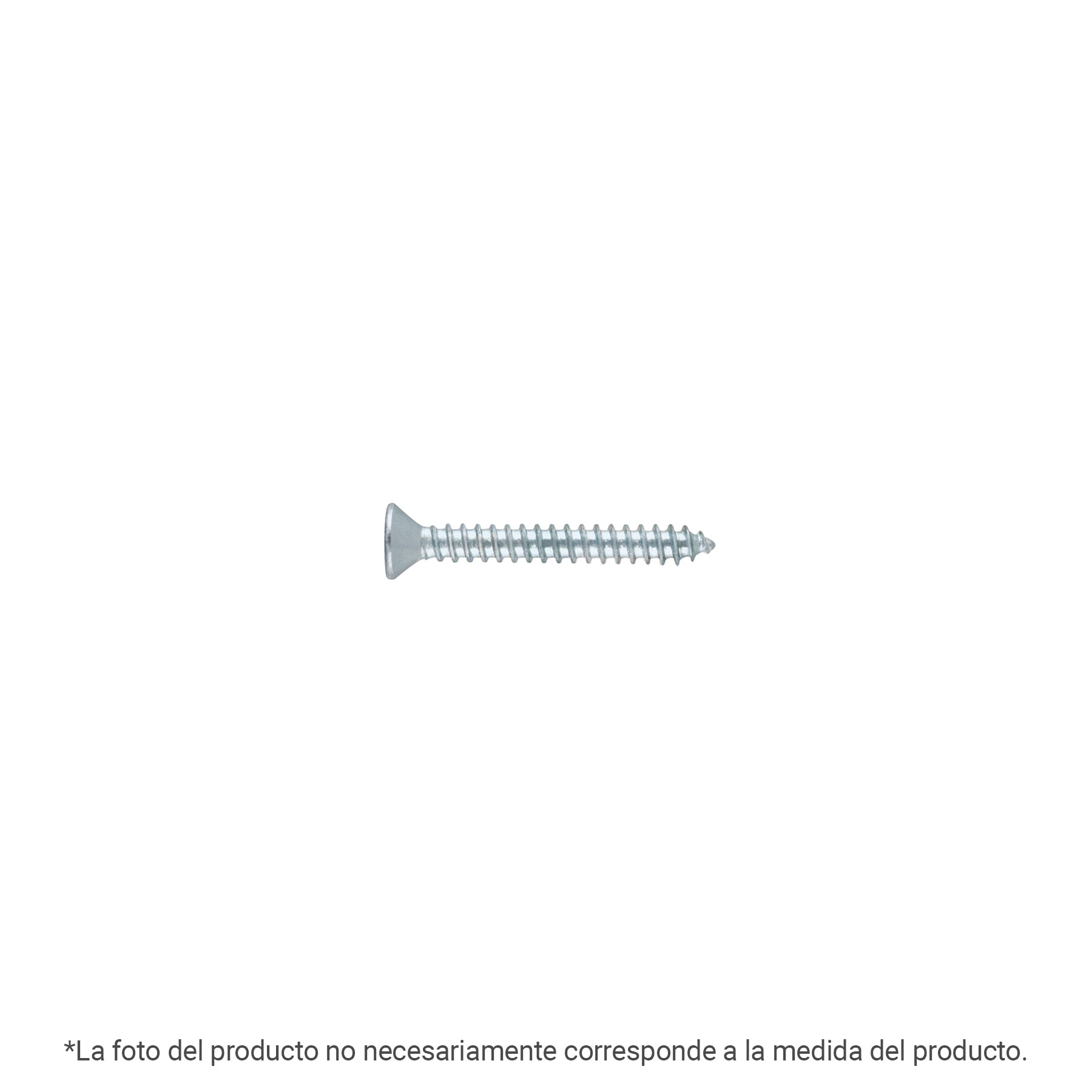 Bolsa 100 pijas para lámina cabeza plana #12 x 2-1/2", FIERO