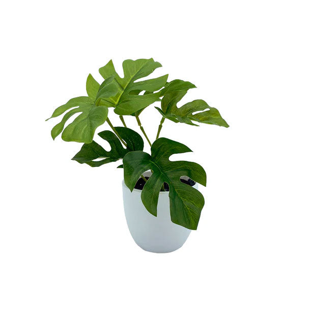 Mini planta decorativa monstera 15 cm