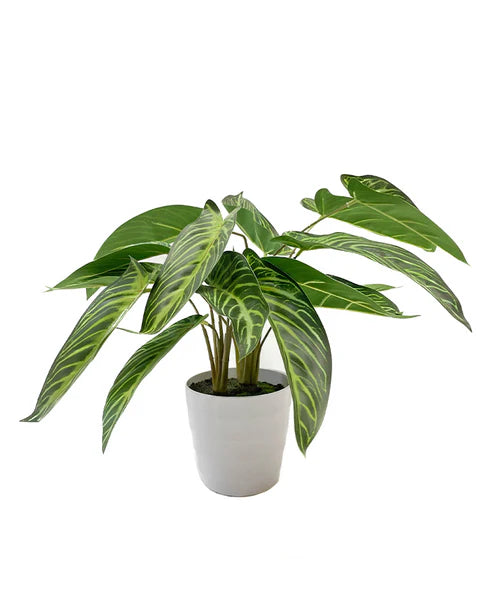 Planta artificial chica syngonium 46 cm