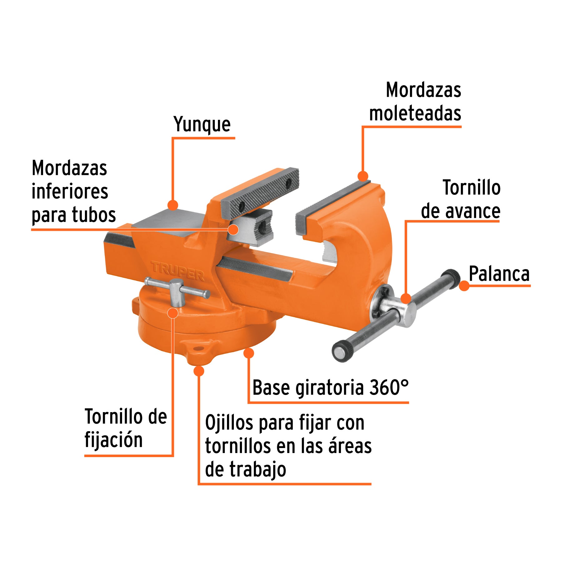 Tornillo de banco 8" industrial de hierro dúctil, Expert