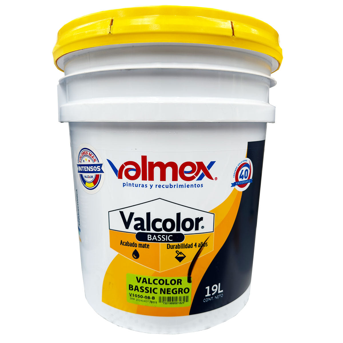 Valcolor Bassic Amarillo Limon 19L (V105002B)