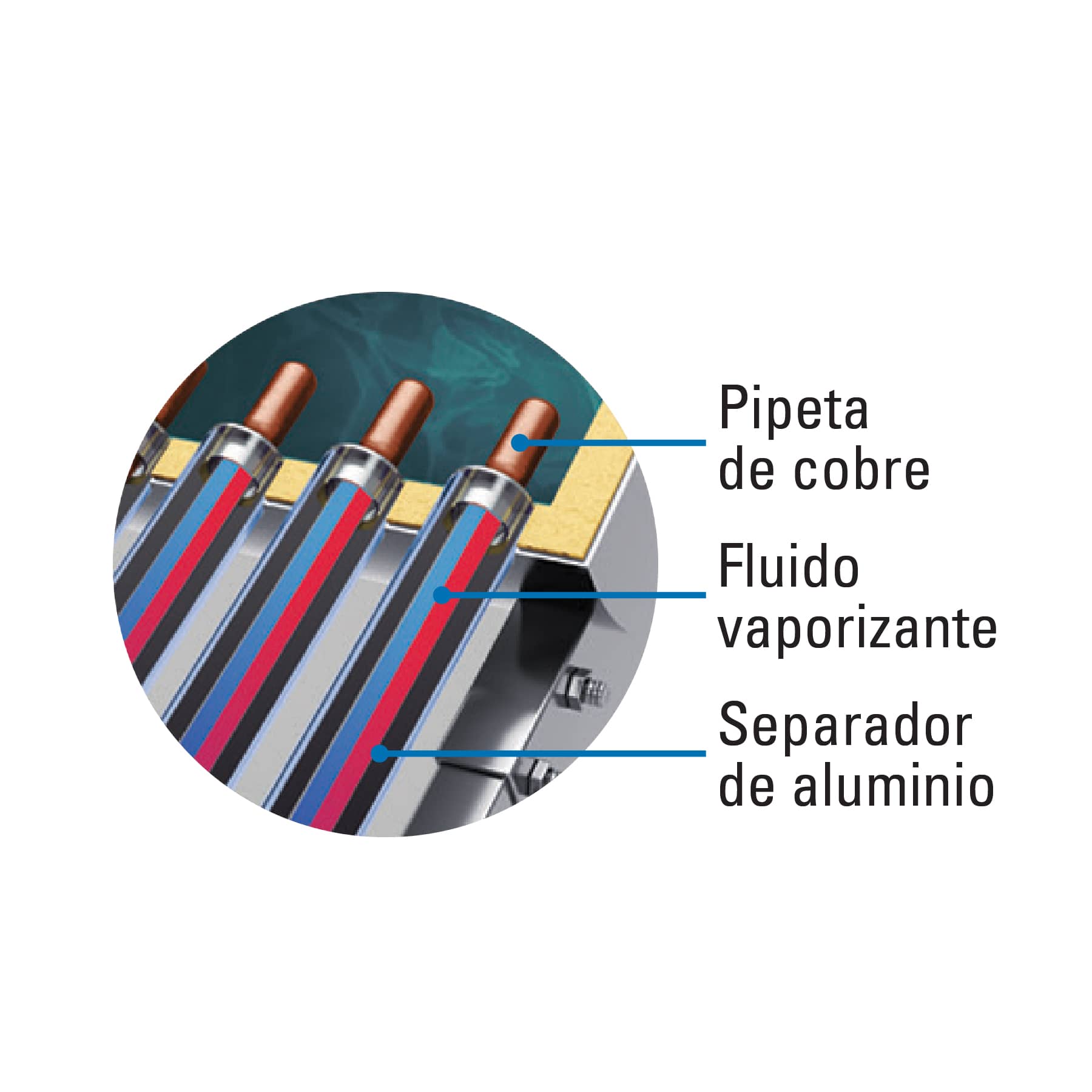 Calentador solar HeatPipe, 12 tubos, 150L, 4 personas, Foset