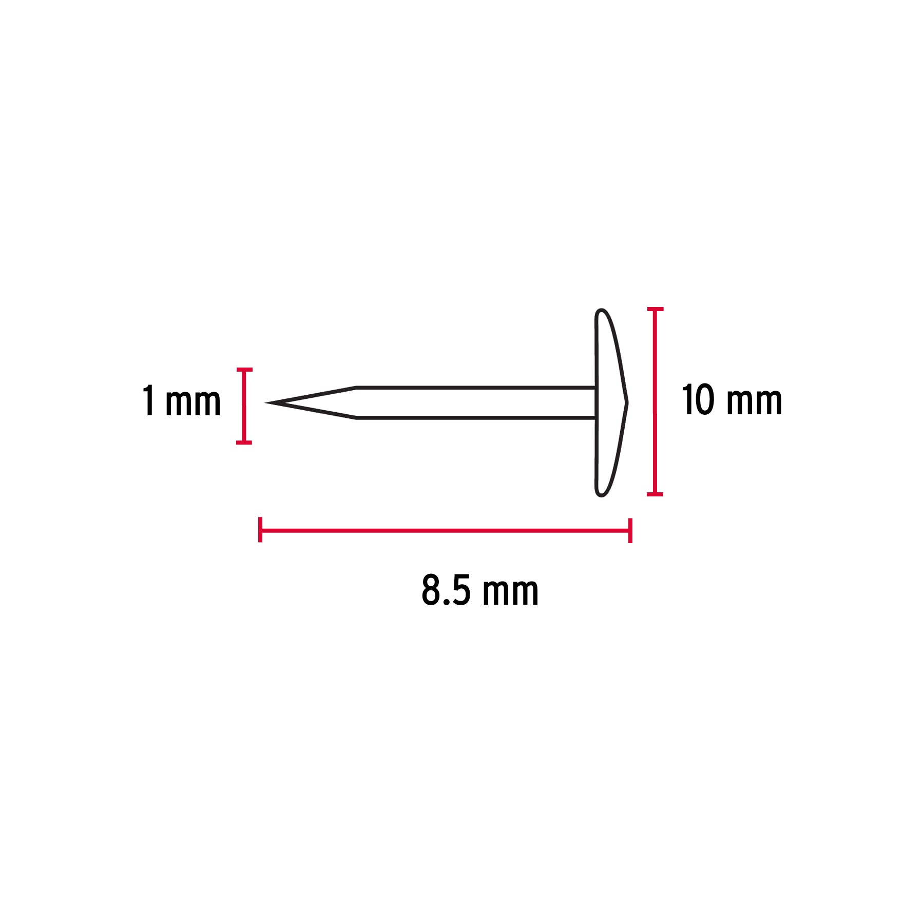 Caja con 100 chinches blancas, Fiero