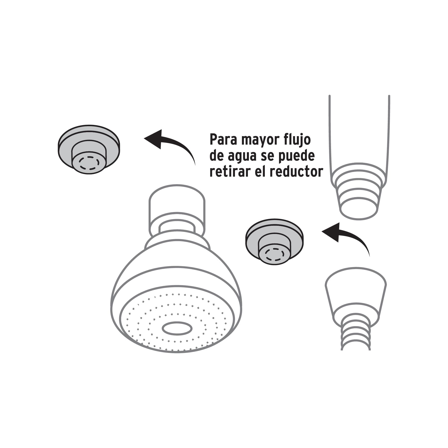 Regadera 2-1/2" con extensión tipo teléfono, Foset Basic