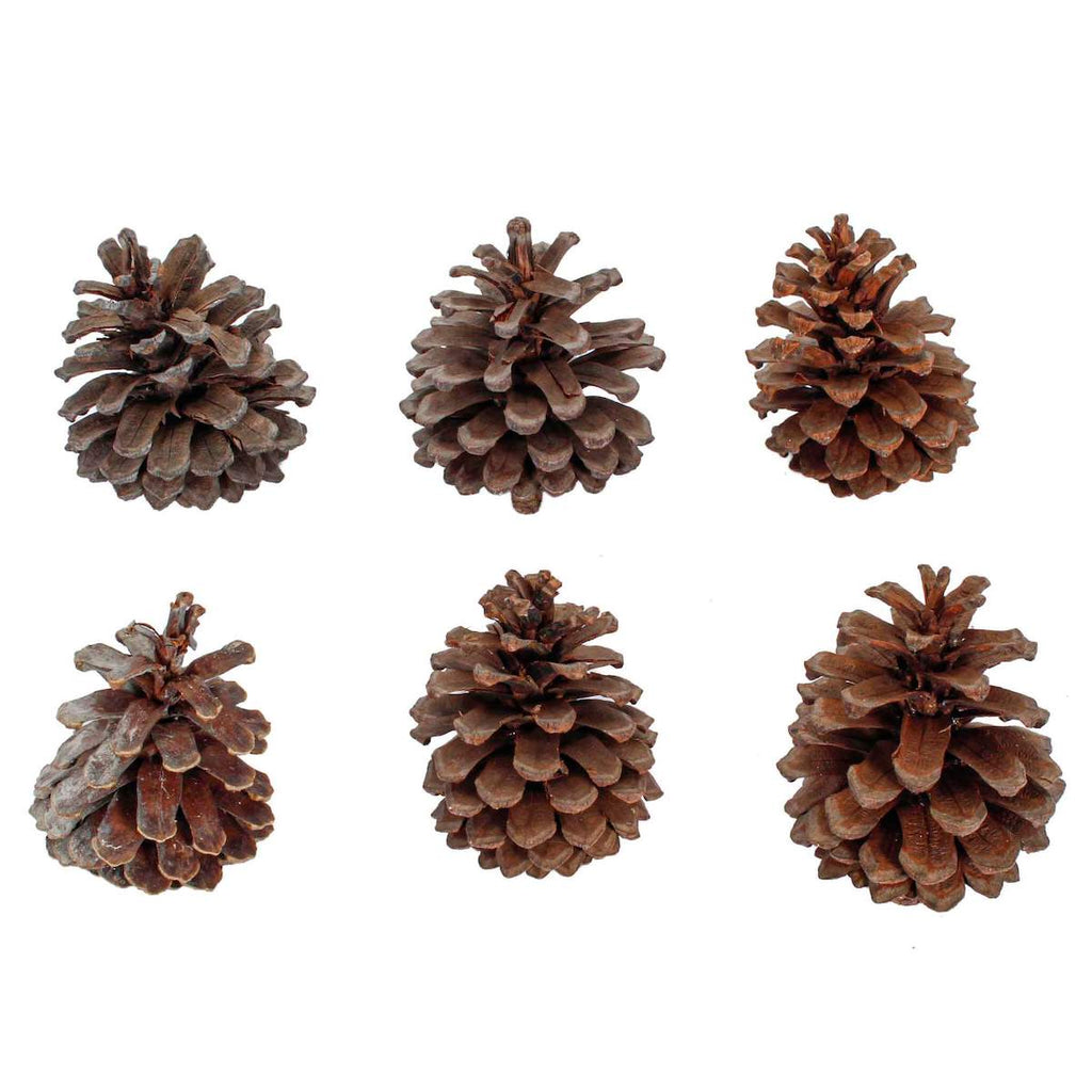 Vinílica Rolux Verde Intenso 19 L (101510606)