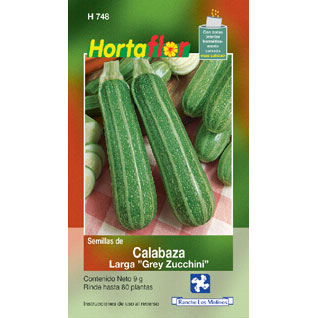 Calabaza Larga Grey Zucchini Hortaflor
