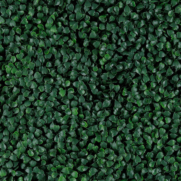 Muro verde Green Boxus (T20-GA001-00001)
