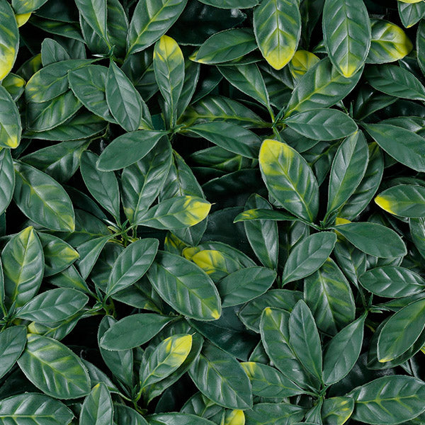 Muro verde Laurel (T20-GA003-00006)