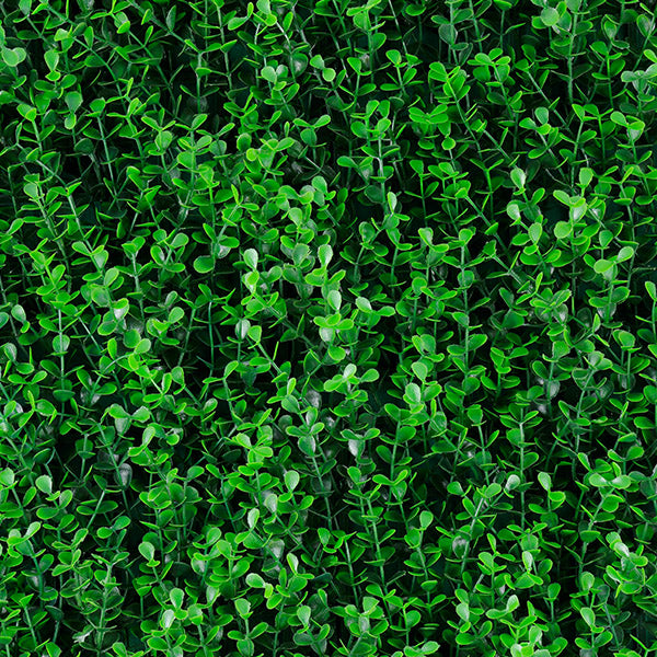 Muro verde Spring Boxus (T20-GA006-00004)