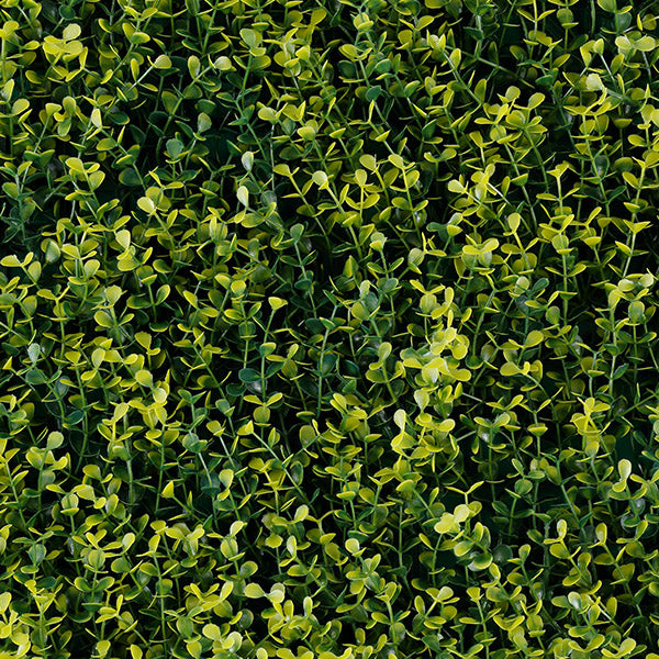 Muro verde Yellow Boxus (T20-GA006-00005)