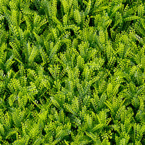 Muro verde Fern (T20-GA009-00007)