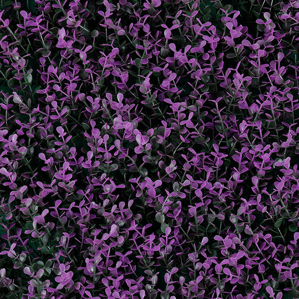 Muro verde Purple boxus (T20-GA006-00002)