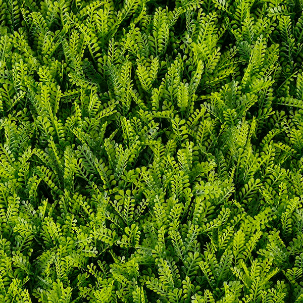 Muro verde Rainforest (T20-GA017-00010)