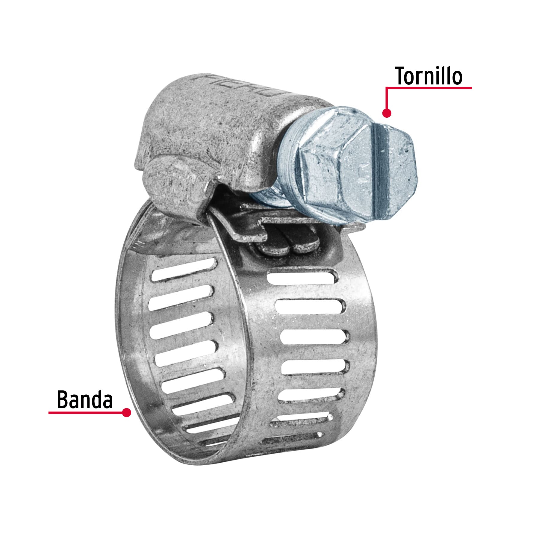 Bolsa con 10 abrazaderas sin fin reforzadas # 6, 1/2 - 3/4"