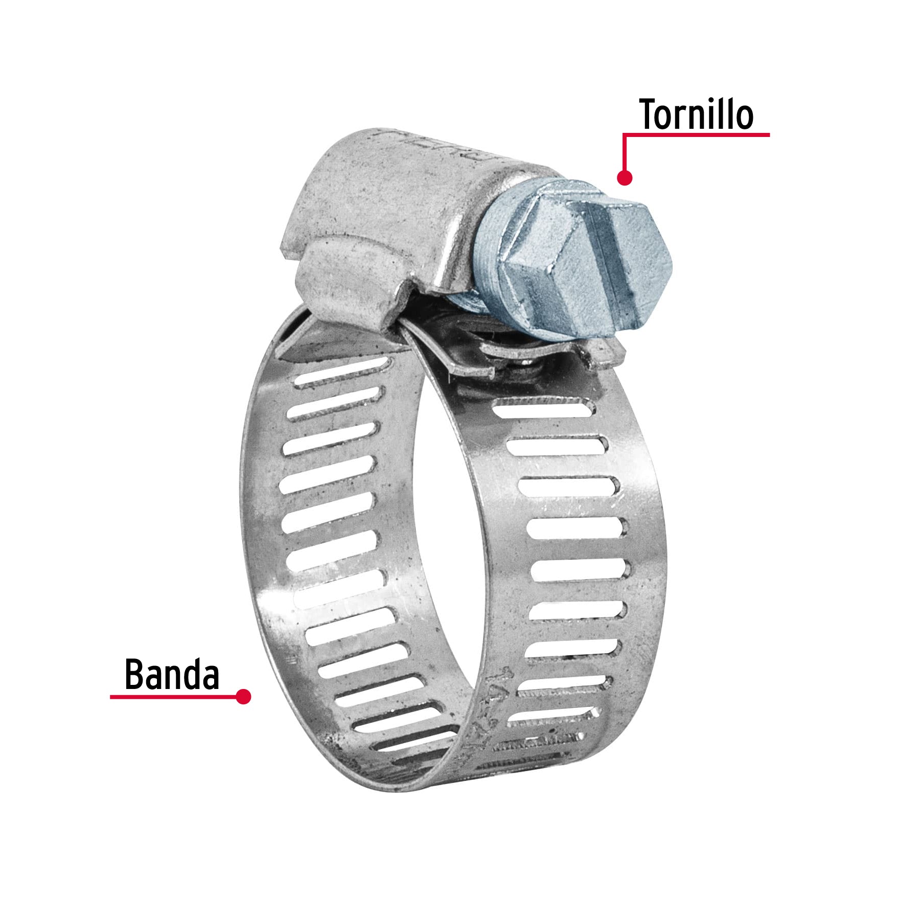 Bolsa con 10 abrazaderas sin fin reforzadas # 8, 5/8 - 7/8"