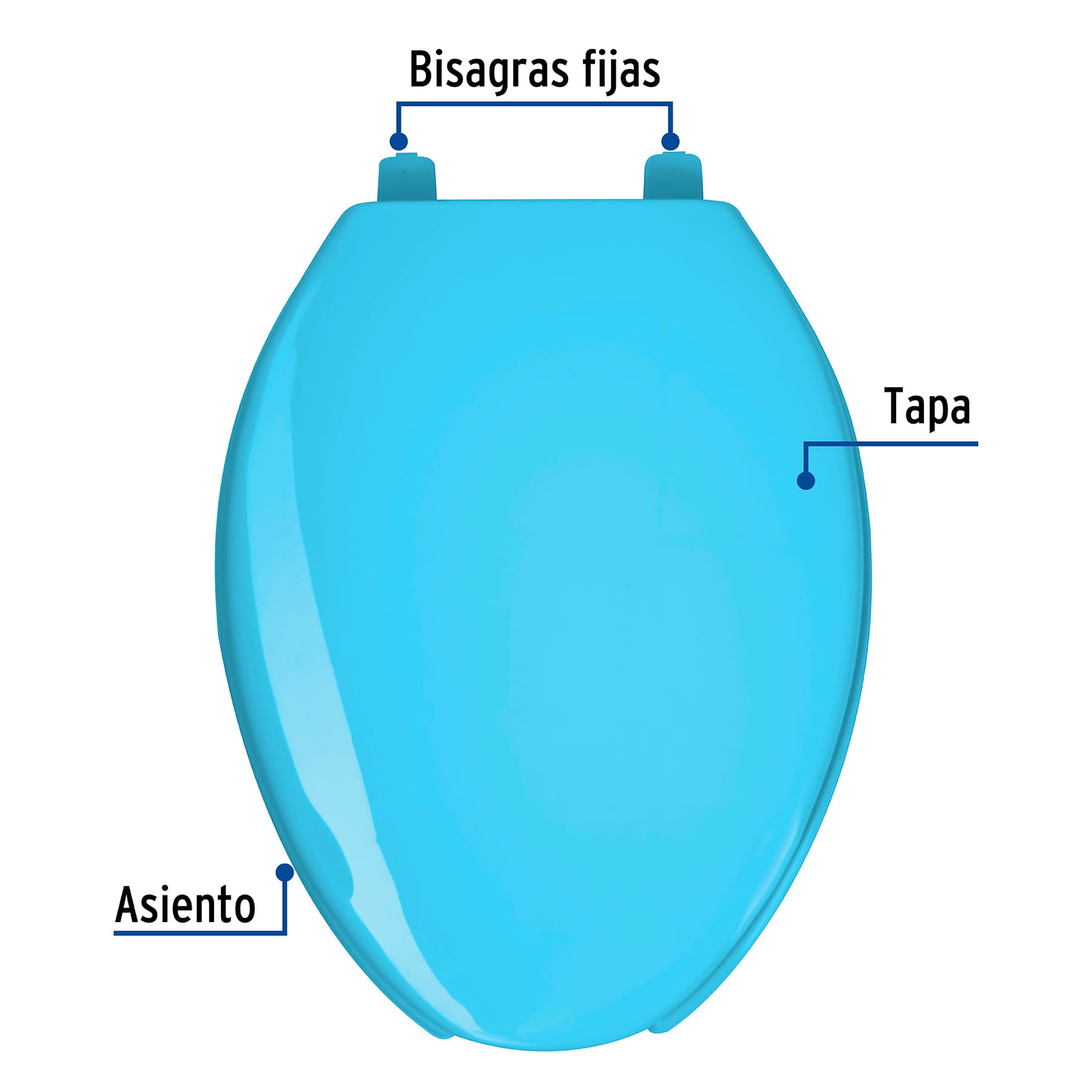Asiento alargado con tapa para WC, abierto, azul, Foset