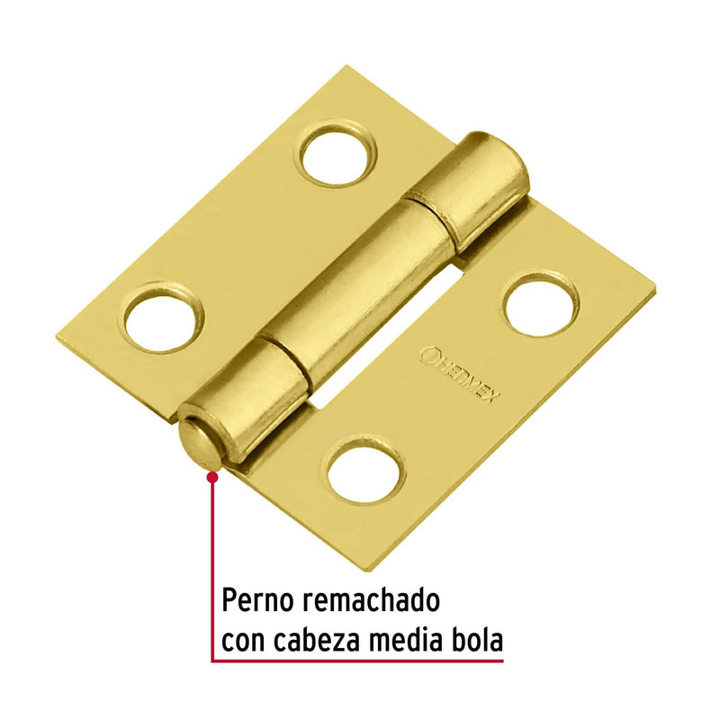 Bisagra rectangular 1" acero latonado,  Hermex