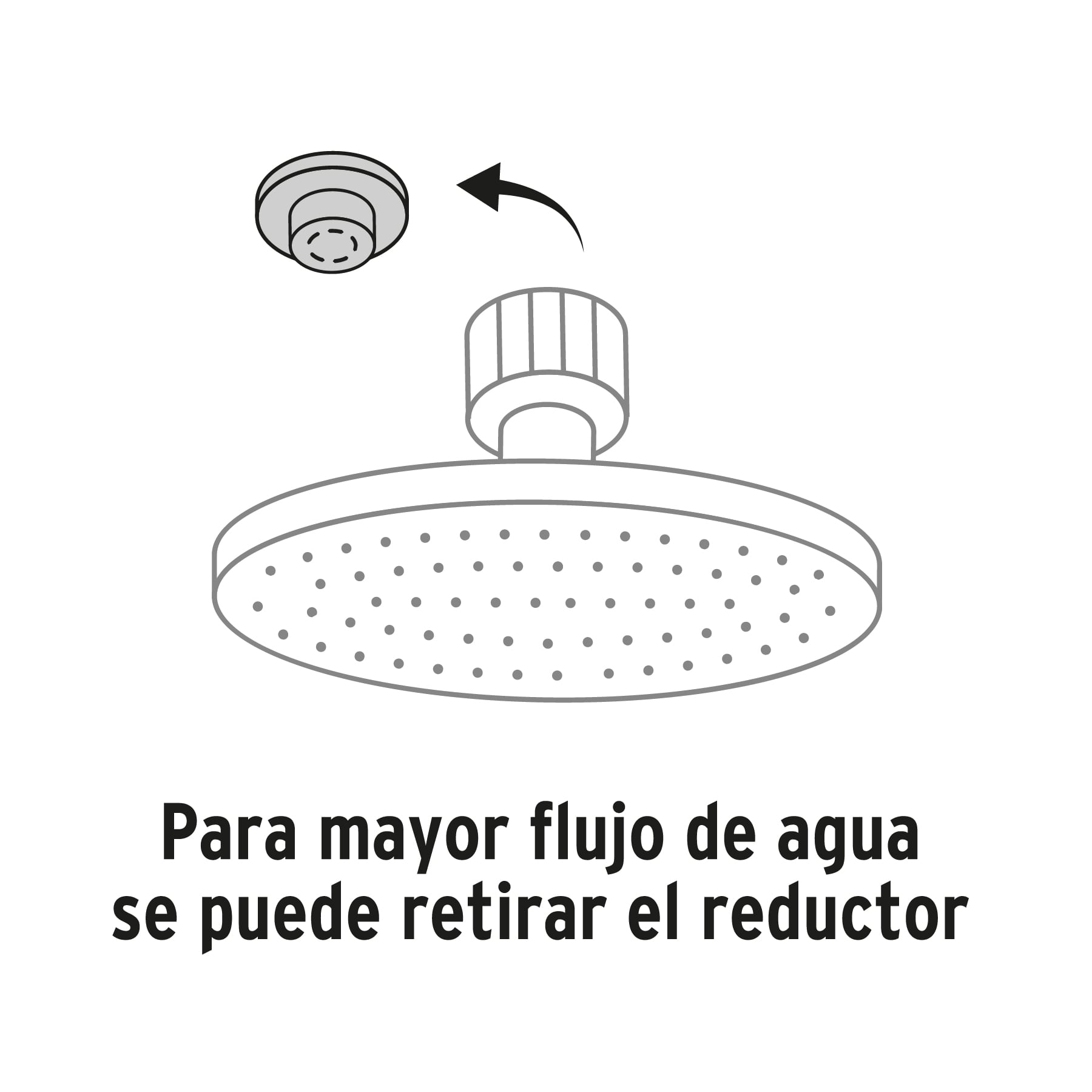 Regadera satín 8" plato redondo, con brazo, Foset Element