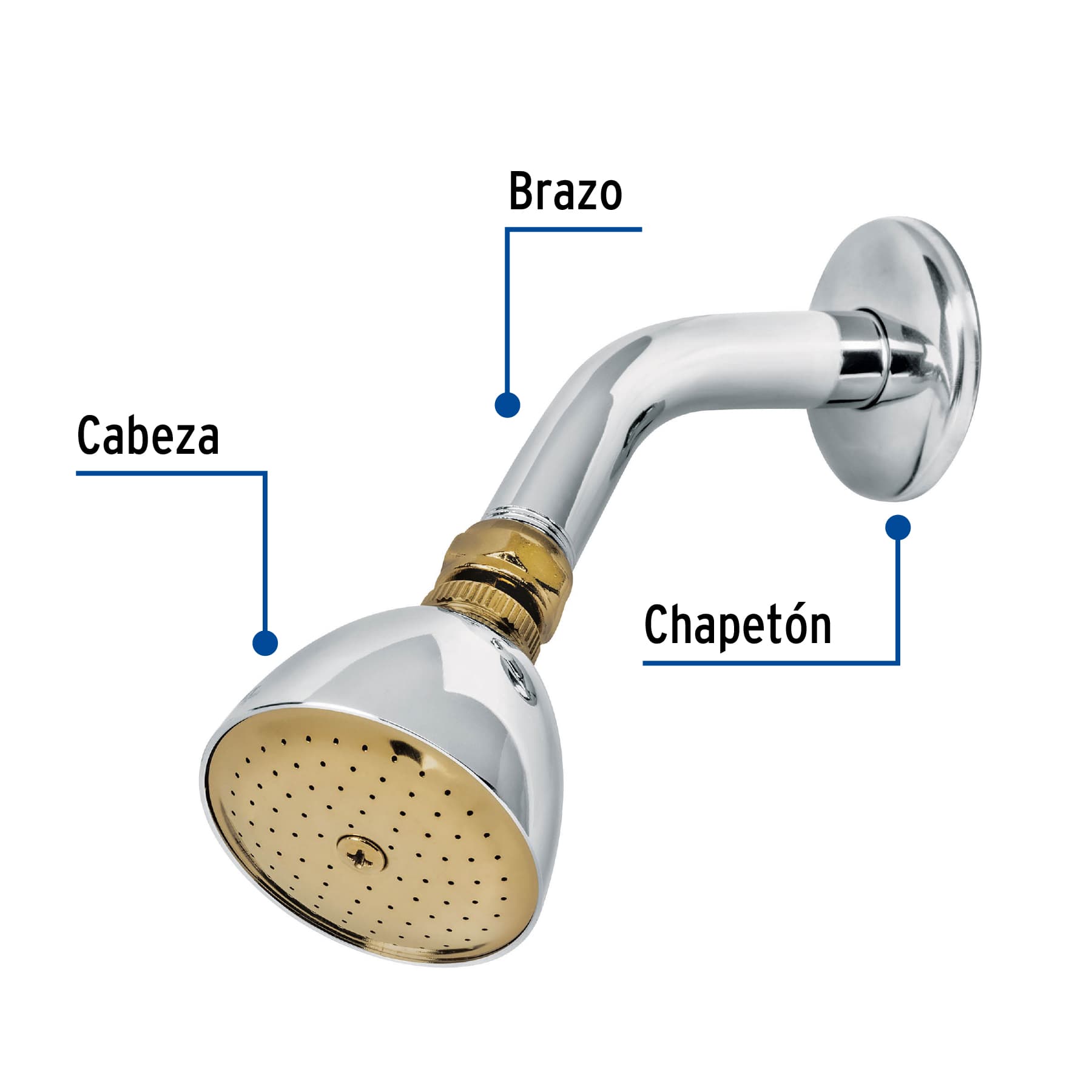 Regadera cónica 2-1/2" cromo-oro brazo y chapetón acero