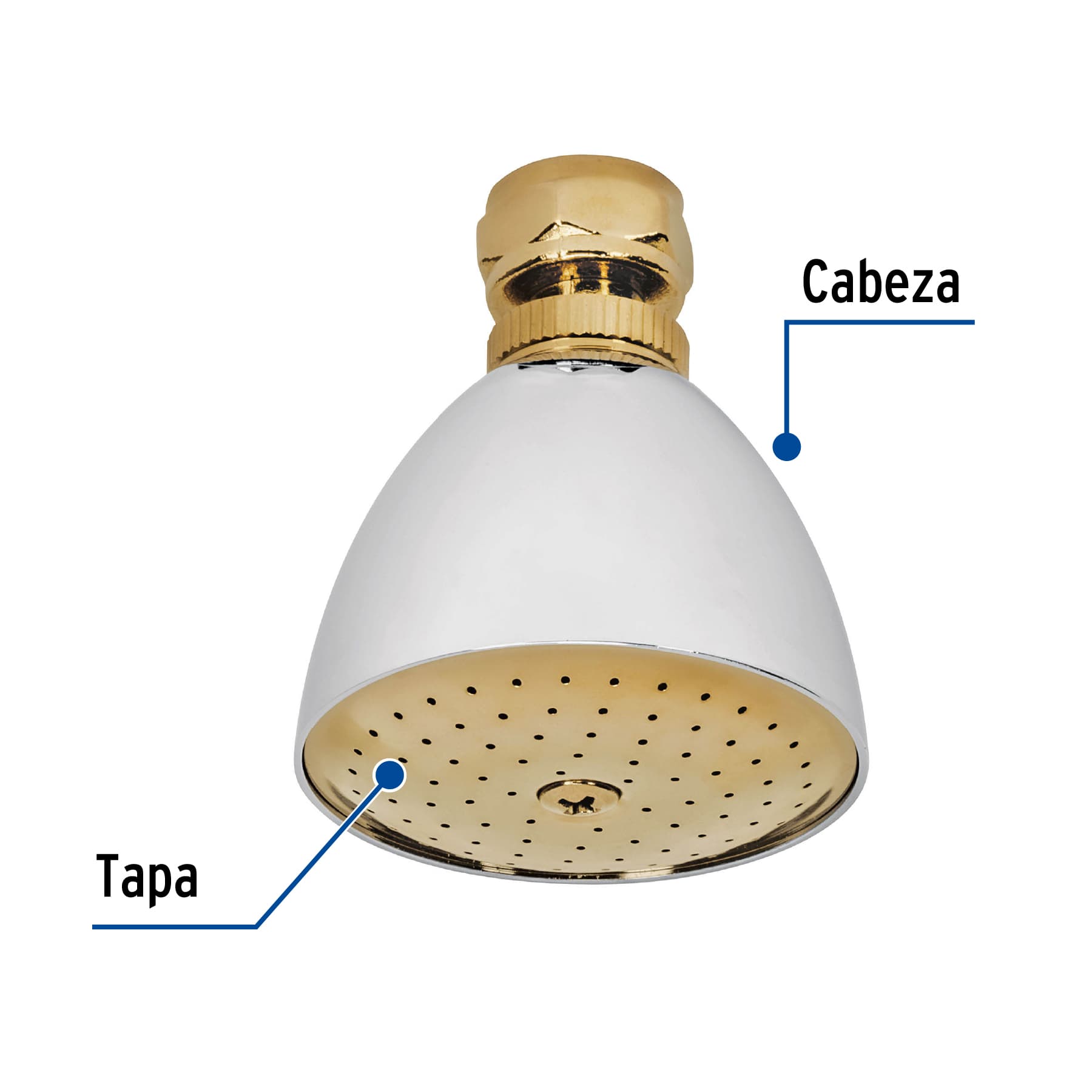 Regadera cónica 2-1/2" cromo-oro sin brazo, Foset Aqua