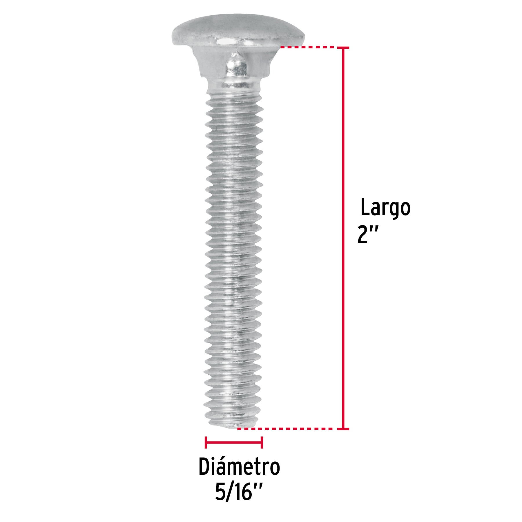 Bolsa con 80 tornillos 5/16" x 2" tipo coche, Fiero