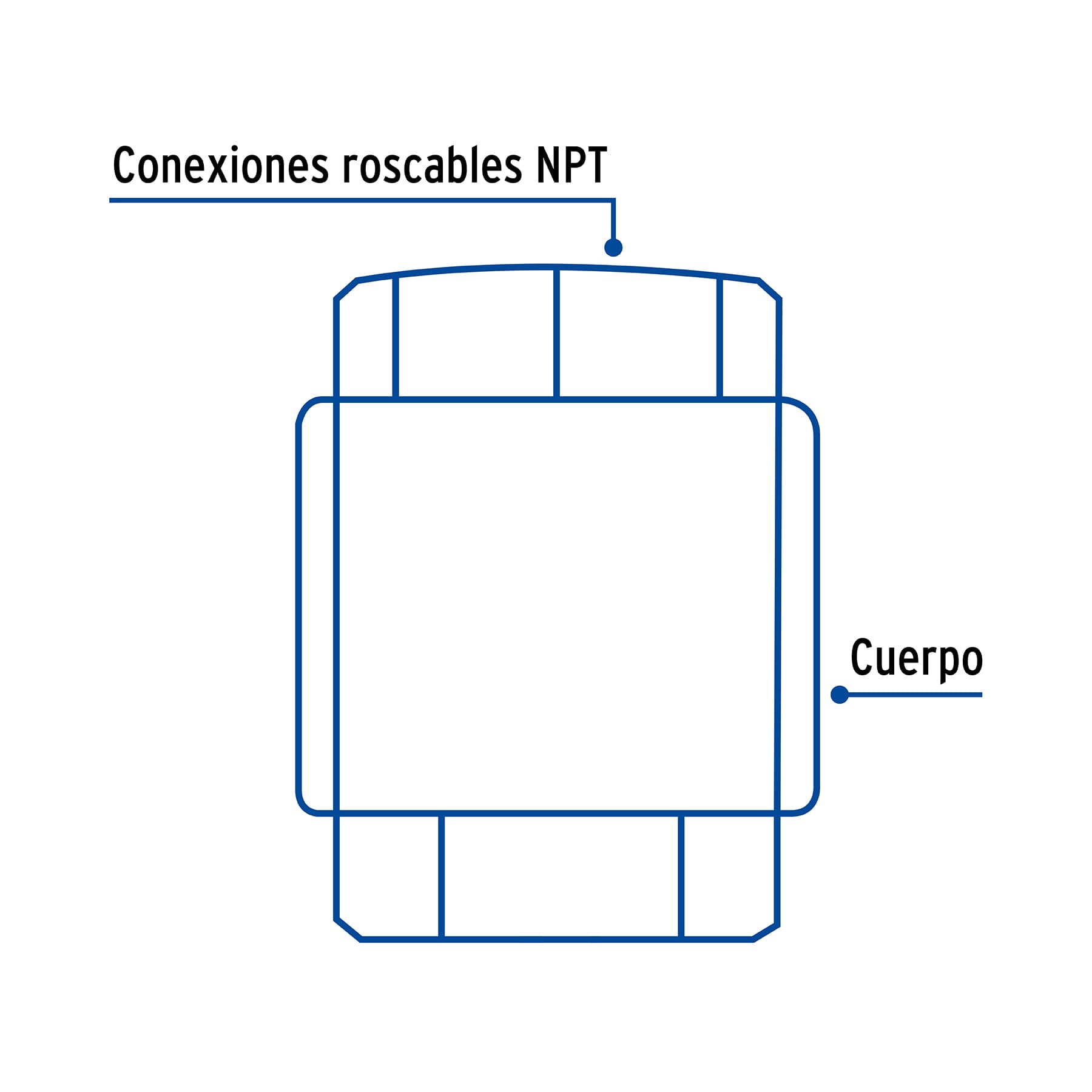 Válvula de retención de latón de 1", Foset